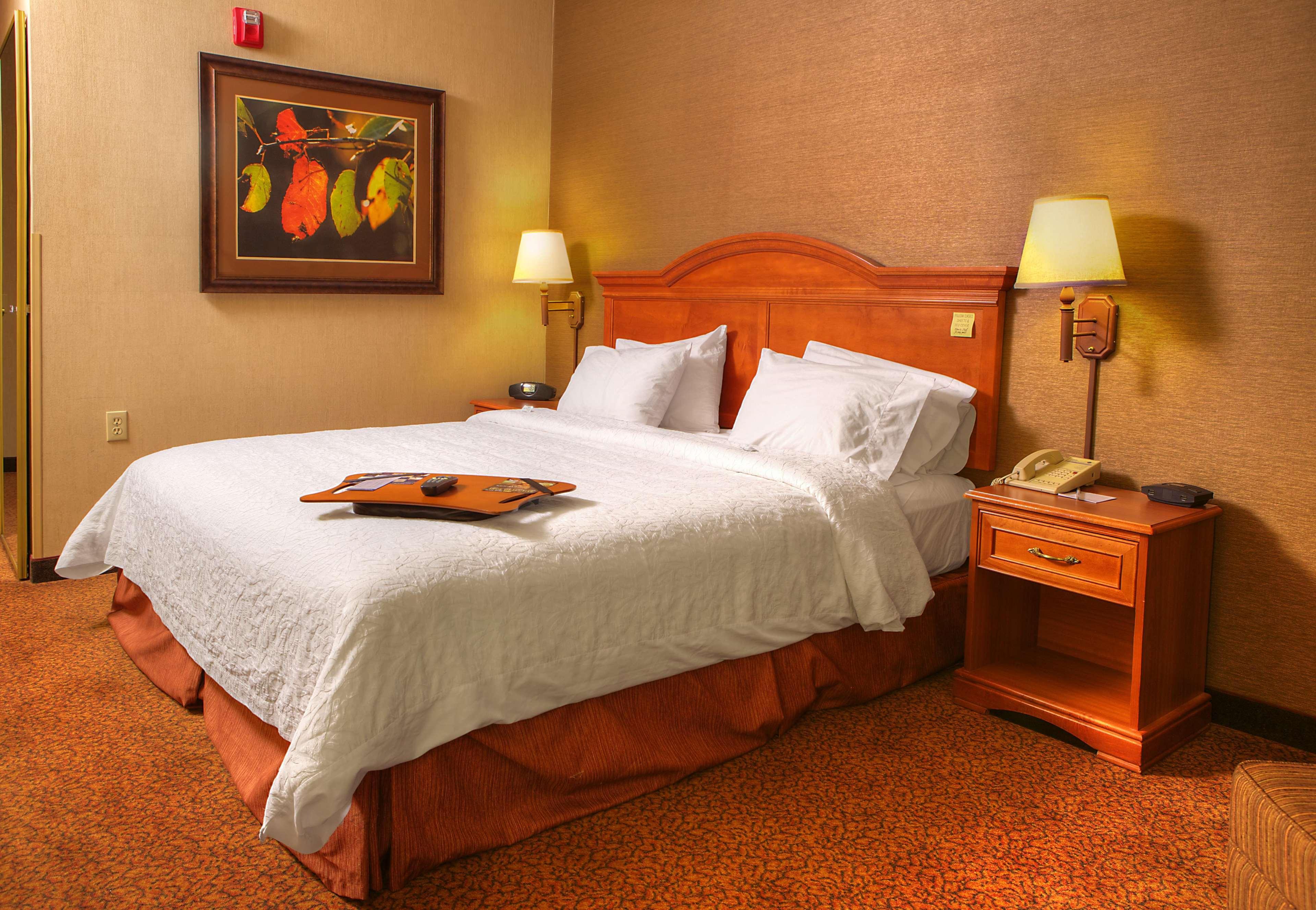 Comfort Inn & Suites Rapid City Near Mt Rushmore Luaran gambar